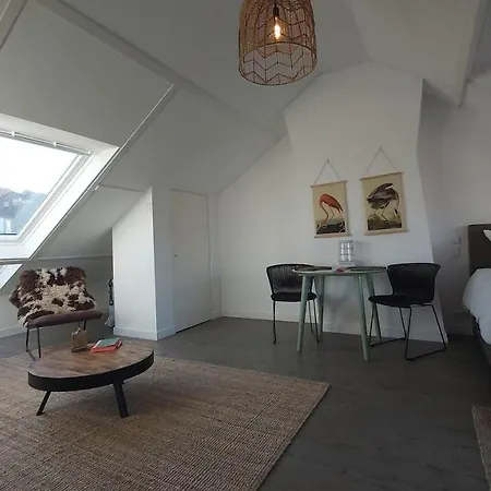 Апартаменты Borsone Hotel
