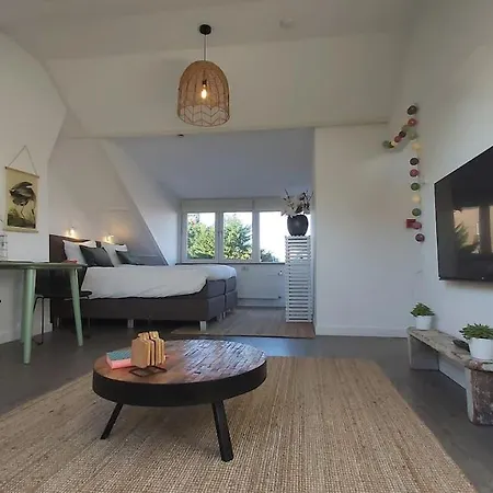 Borsone Hotel Апартаменты *